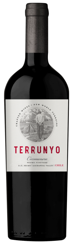 Terrunyo Carmenere 2021